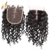 Brazilian Virgin Human Water Wave Swiss Lace Closure With Baby Hair Natural Black Wet and Wavy 4x4