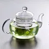 1PC New Arrival Heat Resistant Water Bottle Glass Teapot with Infuser Tea Leaf Herbal Coffee 800ML Selling J101027157517