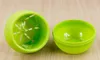 New Mini round Shaped Plastic Office Decor Succulents Flower Seed Planter