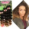 Freeshipping 6st / Lot Jerry Curly FreeTress Hår för ett huvud Ombre Brown Syntetisk Hair Extension Curly Crochet Lila Braiding Hair