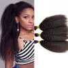 Brazilian Kinky Straight Hair Bulks for Black Women No Weft 3 Bundles Bulk Human Hair Extensions 8-28 inch FDSHINE