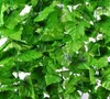 2,4m grön konstgjord murgröna bladkrans växter vinstockar falska löv blommor plast konstgjord blomma rotting vintergröna cirrus g505