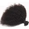 ブラジルの処女人間の髪アフロキンキーカーリー未加工レミーヘアは二重横糸100g/バンドル1バンドル/ロットを染色することができますfedex