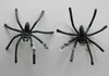 4,5 * 5 cm Halloween plastica Black Spider Joki Toys Decorationng realistico