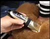 Profesyonel evcil köpek kedi kürk klipsi saç kesici tavşan tımarlama düşük gürültü seramik bıçak saç kesim alet pet pantolon6115302