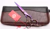 Z9005 6QUOT 440C Pink Gem Multicolor Dragon Handle Professional Human Hair Scissors Cutting or Thunning Shears Barberquots Hai1807389