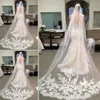 2019 Long Chapel Length Tulle Wedding Bridal Veil With Comb Applique Cheapest Bridal Accessories287P