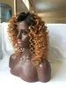 Ombre Afro Kinky Curly Brazylijski Full Lace Human Hair Wig Ombre # 1B 27 Przedni koronki Peruki Kręcone Ludzkie Włosy Peruka Dla Czarnych Kobiet