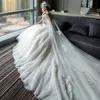 Amazing Watteau Wedding Dresses Sexy V Neck Lace Appliques Lace Up Backless Bridal Gowns A Line Tulle Long Train Wedding Dress
