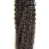 モンゴル変態巻き毛毛マイクロループ人間の髪の伸びの自然な色100gアフロ変態の巻き毛のマイクロループの髪の拡張