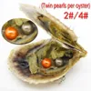 Wholesale vacuum packed 6-7mm round fresh water akoya shell twins 2 pearl oyster