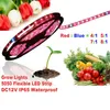 5m 5050 LED crescer Fita LED de luz Waterproof 12V Vermelho Azul luz crescido planta para a estufa hidropónica fábrica de lâmpadas crescente