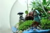1 ensemble de vases ronds en verre transparent avec 1 trou, support en métal pour plantes à fleurs, vase suspendu, pas n'importe quelle plante, décoration hydroponique pour la maison et le bureau Va9032468