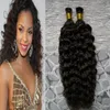 Extensions de cheveux humains brésiliens Kinky Capsule bouclée Kératine I Tip Coiffure Fusion 100g 1g / Strand 100s Vierge I Extensions