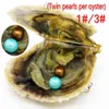 Wholesale Love Pearlsカキ6-7mmラウンド真空包装の新鮮なカキの淡水真珠