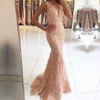 Vestidos de noite Vestir 2017 New Sexy V Neck Ilusão Apliques de renda com miçanos de sereia rosa