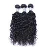 Brazilian Malaysian Hair Weave Natural Wave Water Wave 100 % obearbetade jungfruliga hårbuntar Brazilian Malaysian Remy Human Hair Extensions