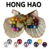 Oysters Pearls in Freshwater Natural Beads wholesale ,Big Wish Pearl Oyster Shell With Vacuum-packed Gift Wholesale Multi color