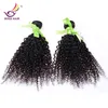 2017 Neuankömmling Echthaarverlängerungen Brasilianisches Reines Haar 5 Bündel Brasilianisches Reines Haar Afro Verworrene Lockige Welle kann gefärbt werden