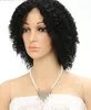 Афроамериканские ежедневные человеческие волосы парик короткие бразильские извлечения вьющиеся вьющиеся первые парики с кружевными кружевами для чернокожи