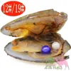 Kvinna Natural Akoya Freshwater Aquaculture Love Pearl Oyster 6-7mm 28-Color Pearl Twins Pearl i triangeln Shell Oyster Shel