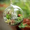 8 cm creatieve opknoping glazen vaas succulent lucht plant display, multi - vlees hangende fles bruiloft decoratie benodigdheden