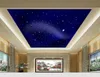 Personalizar cualquier tamaño Stereo Meteor Skytight Ceiling Wallpaper mural 3d fondos de pantalla 3d papeles de pared para el telón de fondo de la televisión