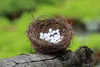 10Sets Hars Miniaturen Leuke Mini Bird Nest met eieren 2Sized Fairy Miniatuurdecoratie voor Tuin Bonsai Home Leveranciers