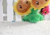 Plants VS Zombies Plush Toy Stuffed Animal - Twin 16CM/6.3Inch Tall7356012