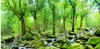HD Oil Painting Forest Landschap Achtergrond Muur Muurschildering 3D Wallpaper 3D Wall Papers voor tv -achtergrond9079281
