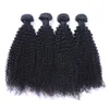 ブラジルの変態巻き巻きの人間の髪の髪の織り4 x 4レースの閉鎖自然の黒い色プリプット付きのバンドル