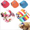 Pet Köpek Kedi Şapka Kulak Delikleri Ile Yaz Witner Tuval Beyzbol Şapkası Moda Bebek Şapka Açık Aksesuarları Yürüyüş Pet Kostümleri Kedi Bere