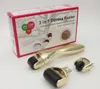 3-en-1 Derma Roller Kit Titanium Derma Roller 180 600 1200 Aiguilles Peau DermaRoller pour le corps et le visage