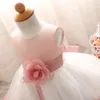 Robe fille enfant Toddler kids tutu dresses for girls clothes princess party dress girl children clothing kids dress for girls9929568