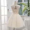 Luz Champagne Nova Chegada Vestidos de Casamento Curto Vestidos de Dama de Honra Na Altura Do Joelho Tulle Vestido de Noiva Lace-up Com Arco Frete Grátis Personalizado