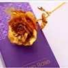 Dia das mães Presente de Aniversário 24 K Golden Rose Cravo Flor Melhor Presente Para O Presente do Dia Dos Namorados Para A Namorada 6 Cores DHL Frete Grátis