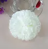 造花絹の花卸売カーネーションの花の頭の手作りDiyスタイルのフェンス