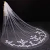 Two Layers Cut Edge Lace Appliques Blusher Cover Face 2 Tiers Wedding Veil With Comb Cathedral Bridal Veils