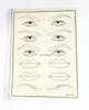 10Pcs Permanent Eyelid Eyebrow Lip Makeup Tattoo Practice Skin for Beginners Permanent Makeup tattoo practice