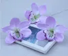 orchid decorative flowers