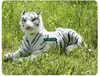 Dorimytrader Big Soft Simulated Forest Animal Tiger Plush Toy Stuffed Lying Animal Tiger Kids Present 51inch 130cm DY60597