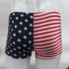 Slip de bain pour hommes, sous-vêtements, G8424, drapeau américain, rayures étoiles, bleu rouge, nylon imprimé, spandex301S