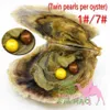 Оптовая круглая Akoya Twins Pearl в устричной жемчужной вакуумной обертке 1 # и 3 # Color Double Akoya Pearl в Oyster 6-7 мм