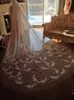 New Arrival Cathedral Wedding Veils Three Meters Long With Lace Applique Two Layers Custom Made Cheap Bridal Veil