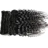 African American Clip In Human Hair Extensions 100G 120G 8PCs Natural Black Afro Kinky Curly Clip