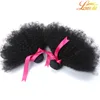 Brazylijskie kręcone dziewicze Kinky Curly Virgin Hair 3pcs 820 cali ludzkie włosy przedłużenie ciasne afro perwersyjne splot włosów 2586490