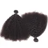 Brasiliansk Virgin Human Hair Afro Kinky Curly Waves Obehandlat Remy Hair Weaves Double Wefts 100g / Bundle 2Bundle / Lot kan färgas blekt