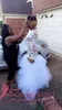 Czarna dziewczyna 2K17 Biała koronkowa balowa suknie wieczorowe Syrenki Klejnoty Illusion Borset Długie Rękawy Tutu Spódnica Formalna Suknie Celebrity na imprezę