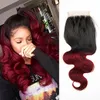 ombre 'closed burgundy