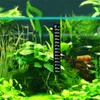 Brewcraft Strip Thermometer Fish Aquarium Temperatuur Sticker Schaal Aquarium Vissen Levering Digitale dubbele binnenkoelkast vriezer